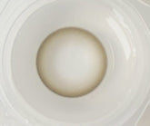 Olens Misty Ash Gray (20p)